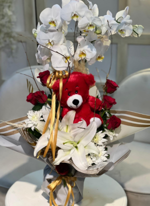 Yeni Doğan Bebek 11